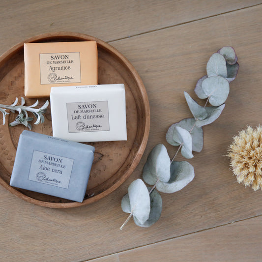 Lothantique Marseille soap bars (Citrus, Donkey Milk, Aloe) on a wooden tray with eucalyptus